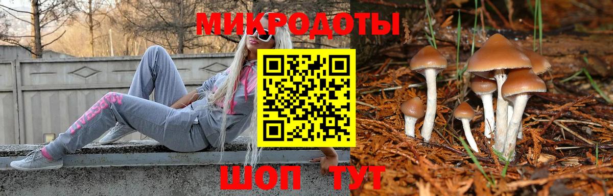Галлюциногенные грибы GOLDEN TEACHER Челябинск