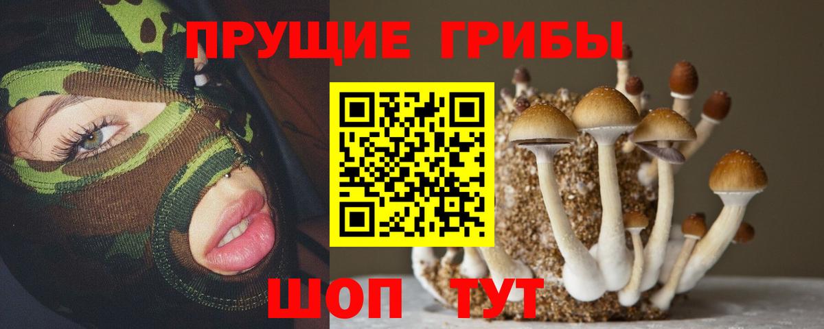 Псилоцибиновые грибы мухоморы  Псилоцибиновые грибы GOLDEN TEACHER  Вход с VPN  купить   Челябинск 