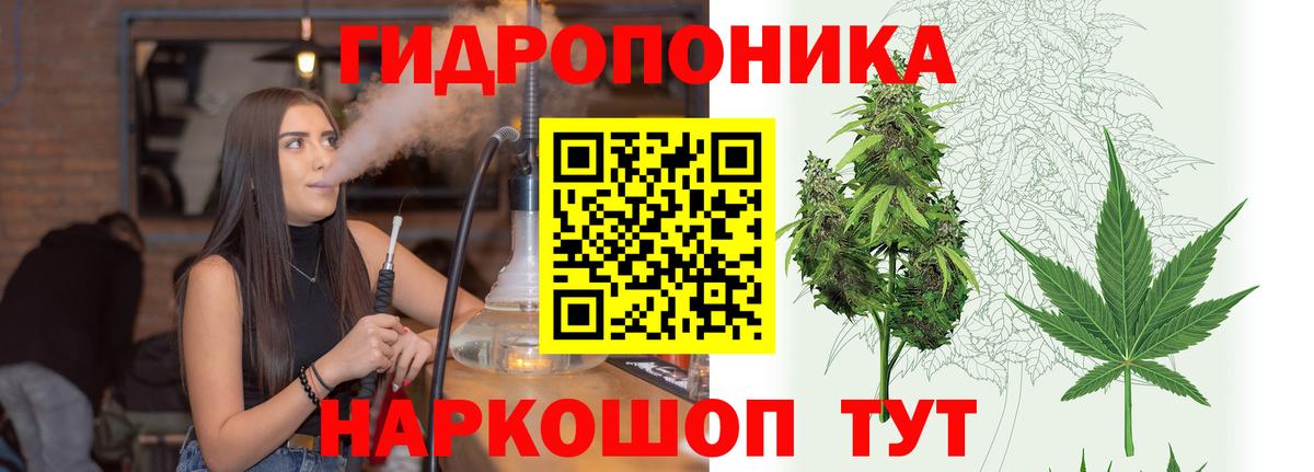 Марихуана сатива Челябинск